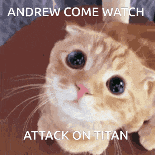 Andrew Aot Andrew Attack On Titan GIF - Andrew Aot Andrew Attack On Titan GIFs
