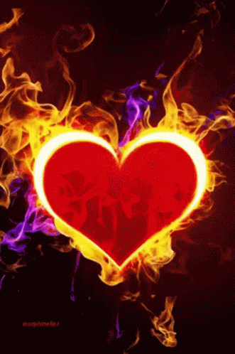 Heart Love GIF - Heart Love Flame GIFs