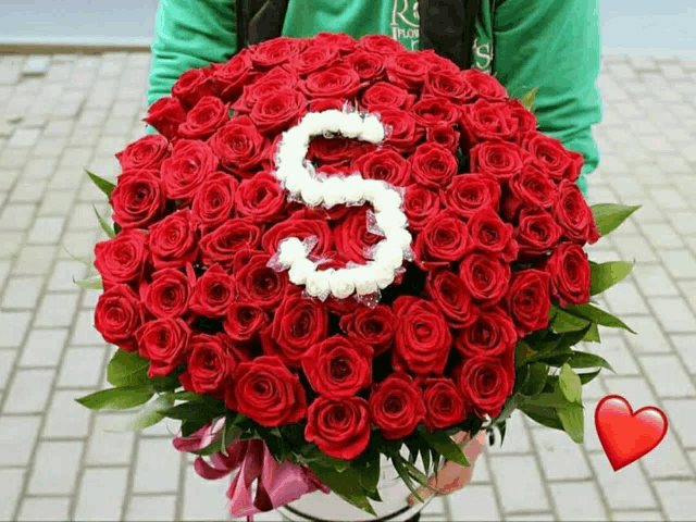 a person is holding a large bouquet of red roses with the letter s written on them