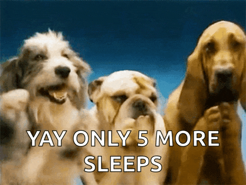 three dogs standing next to each other with the words " yay only 5 more sleeps "