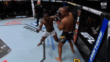 two men are fighting in a boxing ring with a bud light banner in the background