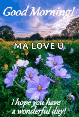 a good morning ma love u i hope you have a wonderful day