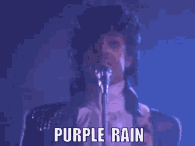 Purple Rain Prince GIF - Purple Rain Prince 80s Music GIFs