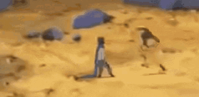 a group of people are standing on top of a sandy field .