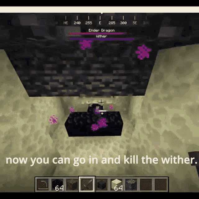 Withertrap Minecraft GIF - Withertrap Wither Minecraft GIFs