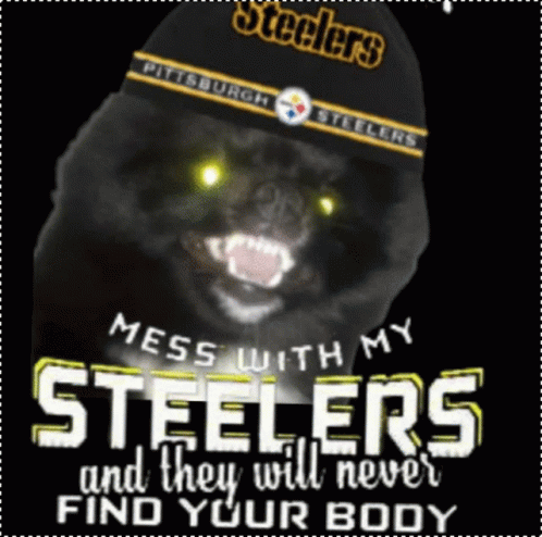 Dont Mess With My Steelers GIF - Dont Mess With My Steelers GIFs