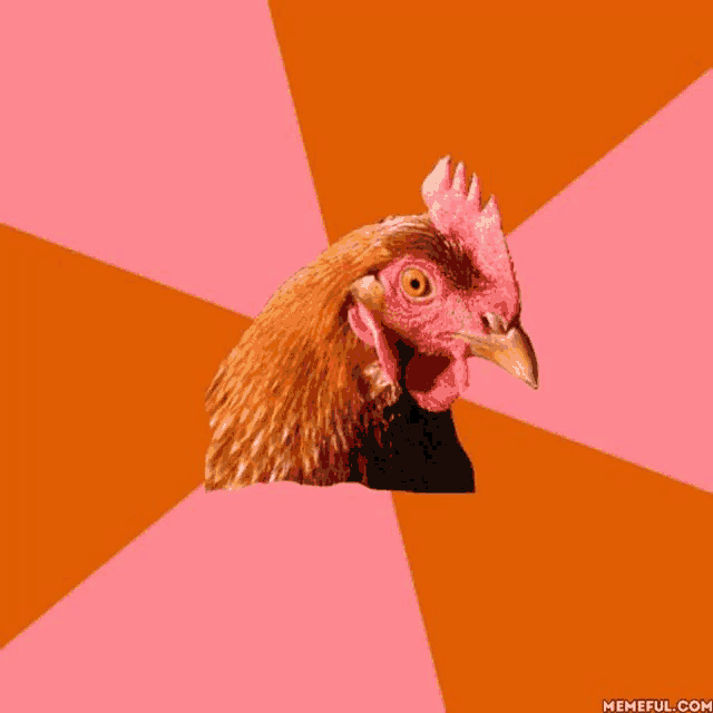 a chicken 's head is shown on a pink and orange background