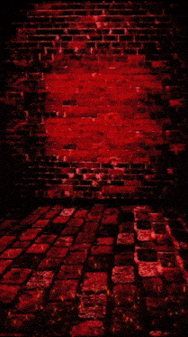 a woman stands in front of a red brick wall with the words rock to elevate written on it
