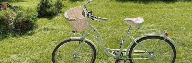 a bicycle with a basket is parked in the grass