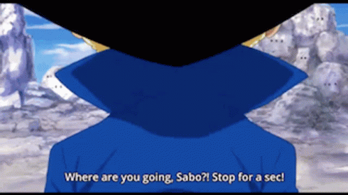 Sabo Fight GIF - Sabo Fight Anime GIFs
