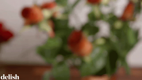 Will You Accept This Rose Asking GIF - Will You Accept This Rose Asking Inviting GIFs