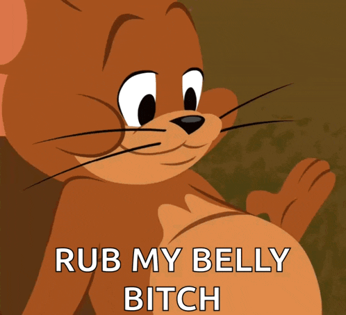 a picture of jerry from tom and jerry with the words rub my belly bitch below him