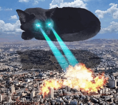 a picture of a cat flying over a city with facebook written on the bottom right
