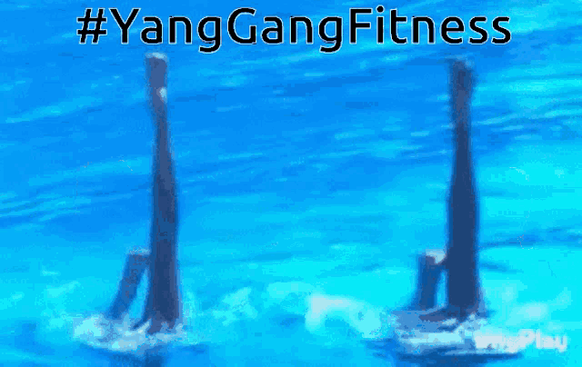 Yang Gang Fitness Yanggang GIF
