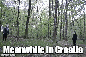 Forest Croatia GIF - Forest Croatia Meet GIFs