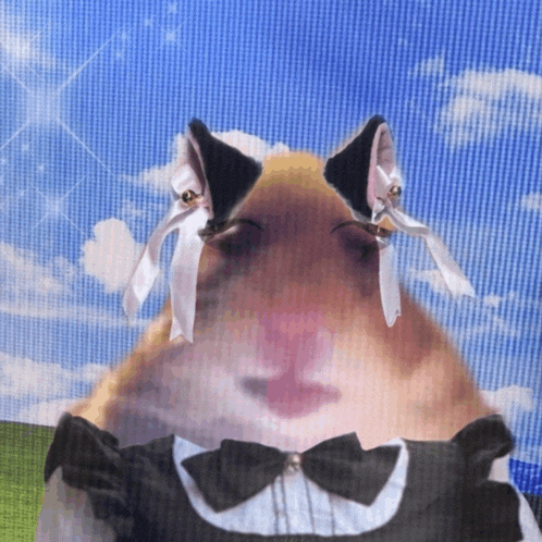 a picture of a hamster wearing a maid outfit and cat ears