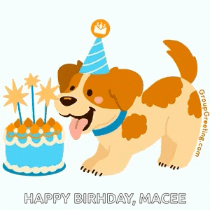 a dog wearing a party hat is standing next to a birthday cake with candles