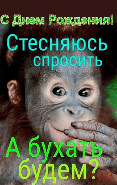 a picture of a monkey with the words " a buxa " in green