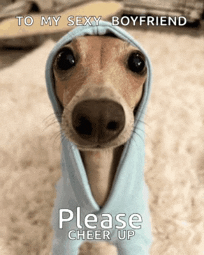 a dog is wrapped in a blue blanket with the words please cheer up below it