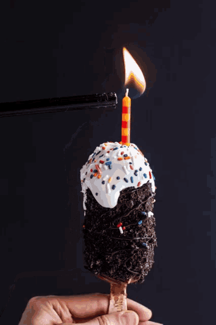 a person holding a birthday cake with a lit candle on top