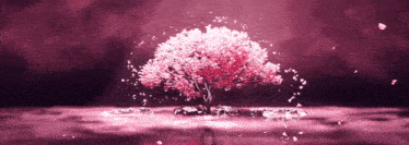 a cherry blossom tree is in the middle of a lake