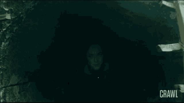 a woman is looking out of a dark tunnel with the word crawl on the bottom