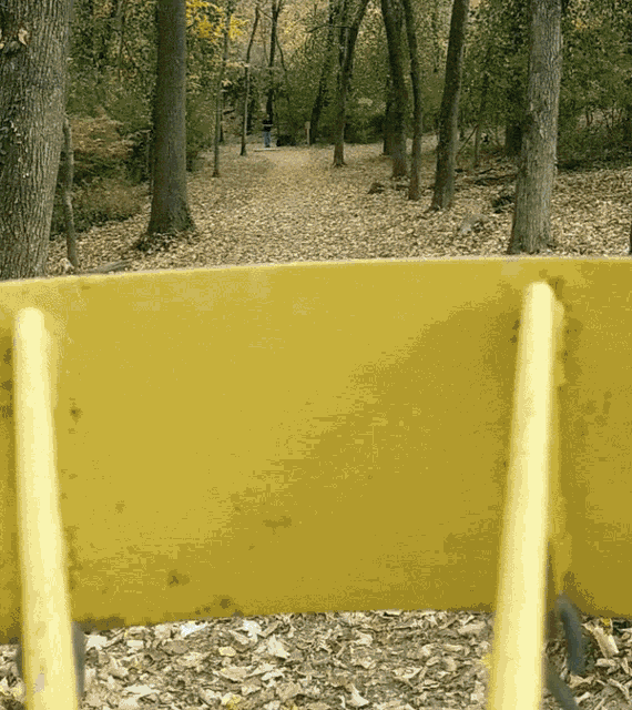 Disc Golf Ace GIF - Disc Golf Ace Hole In One GIFs