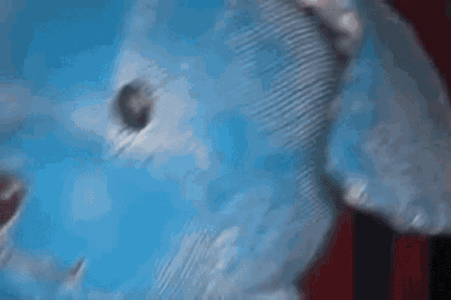 a blue teddy bear with a sad expression on its face