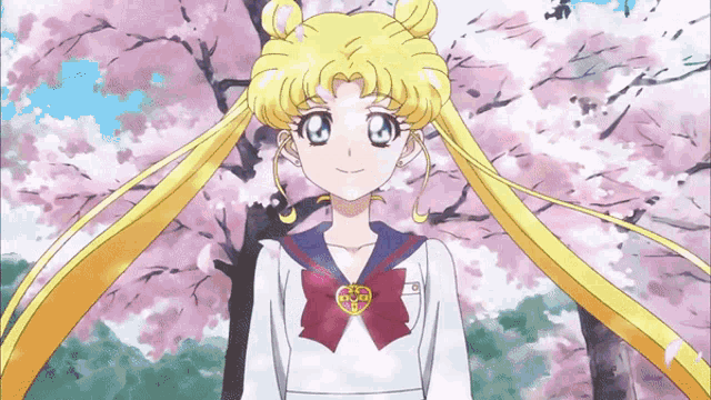a girl in a sailor uniform with a badge that says ' sailor moon ' on it