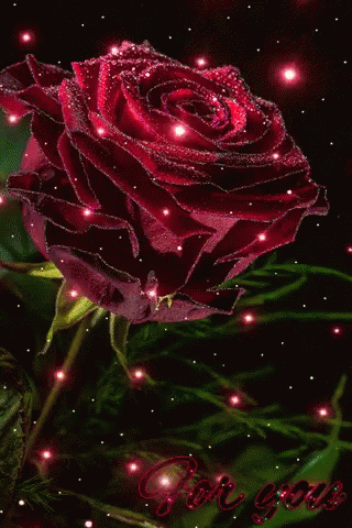 Flower Red GIF - Flower Red For You GIFs