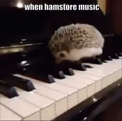Hamstoremusic GIF - Hamstoremusic Hamstore GIFs