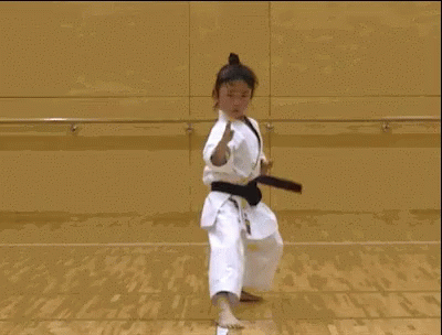 Taekwondo Martial Arts GIF - Taekwondo Martial Arts - Discover & Share GIFs