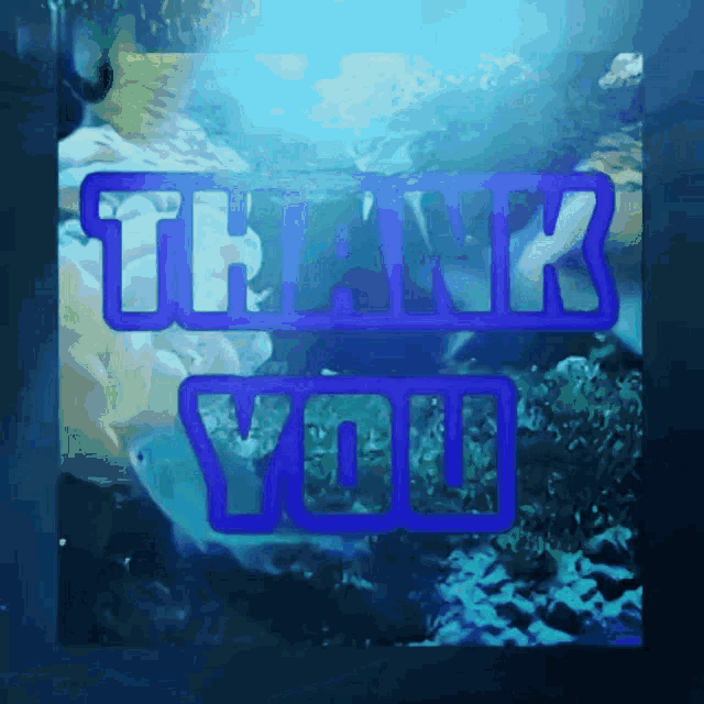 a thank you card with a picture of a fish in the background