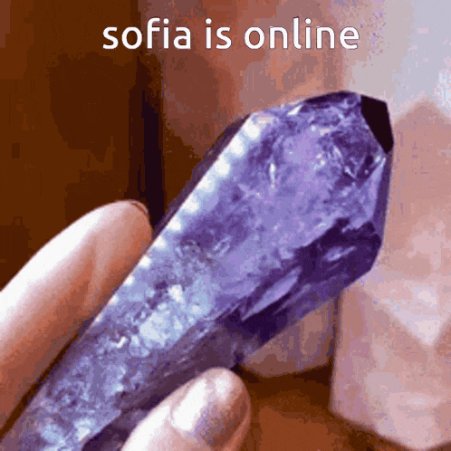 a person holding a purple crystal with the words sofia is online