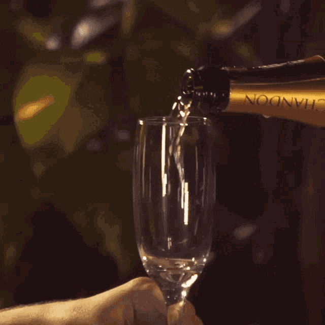 Celebrate Wine GIF - Celebrate Wine Pouring Wine GIFs