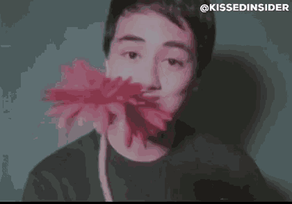 a young man is holding a large pink flower in his mouth .
