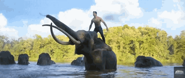 a man standing on top of an elephant in a river