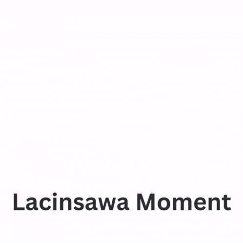 a screenshot of a conversation between chopper and lacinsawa3 dayn