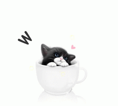 Welcome Cat GIF - Welcome Cat GIFs