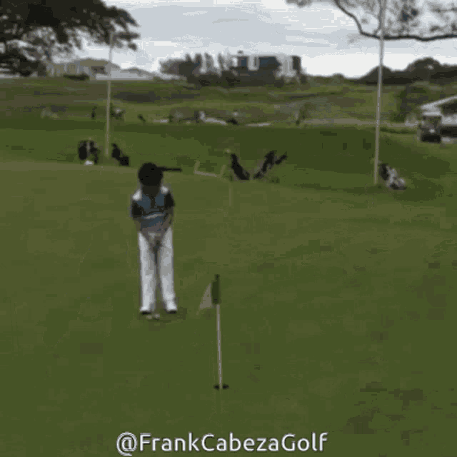 Frank Cabeza Frank Cabeza Golf GIF - Frank Cabeza Frank Cabeza Golf Frank Cabeza Alatorre GIFs