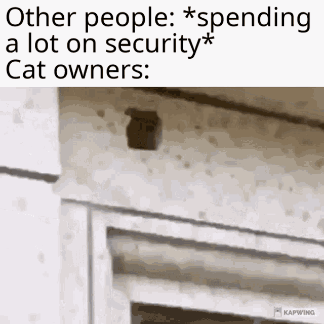 Cat Security GIF - Cat Security GIFs