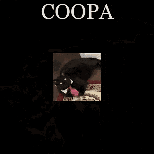 Cooper Fancam GIF - Cooper Fancam Coopa GIFs