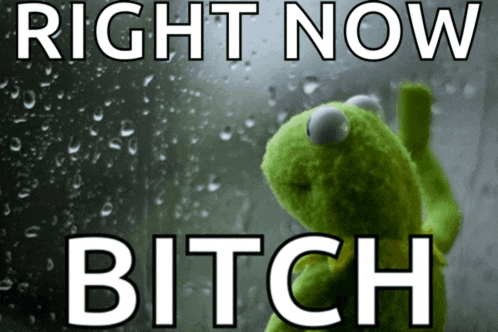 a kermit the frog looking out a window with the words right now bitch behind him