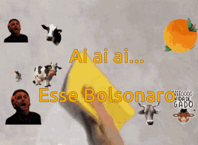 Passando Pano Bolsonaro Genocida GIF - Passando Pano Bolsonaro Genocida Bolsonaro Traidor GIFs