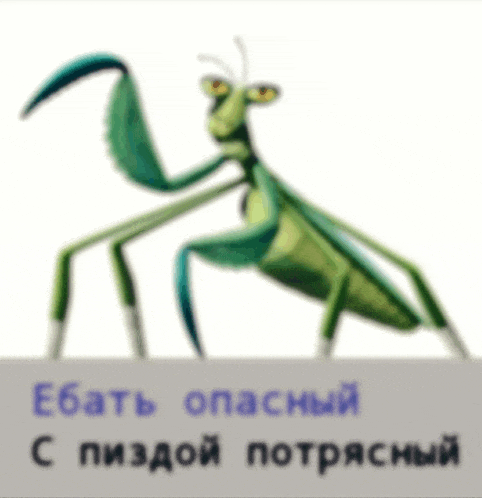 a picture of a praying mantis with a foreign language caption