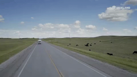 On The Road GIF - Driving Viceland Beautiful GIFs