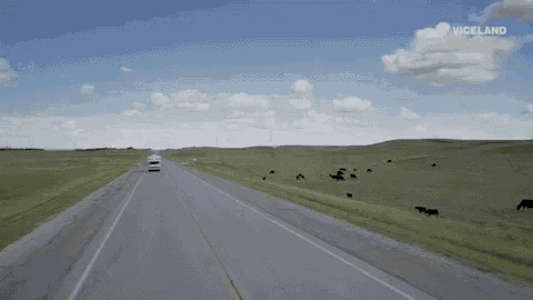 On The Road GIF
