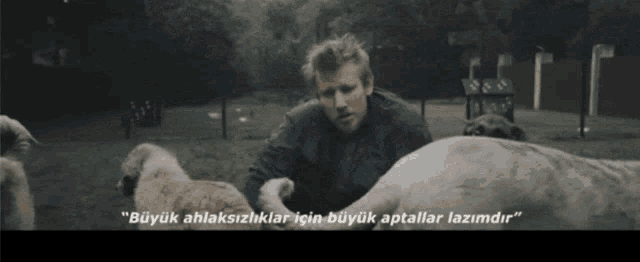 şanışer GIF
