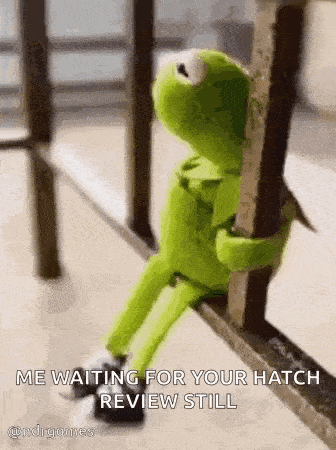 kermit the frog is sitting on a railing holding onto a railing and waiting for a review .