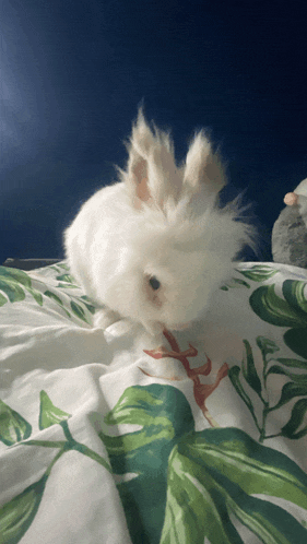 a white rabbit is laying on a bed with tropical leaves